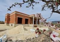 Nueva construcción  - Villa - Pinoso