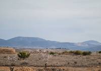 Nueva construcción  - Villa - Pinoso