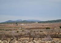 Nueva construcción  - Villa - Pinoso