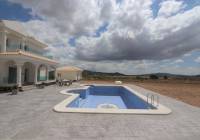 Nueva construcción  - Villa - Pinoso