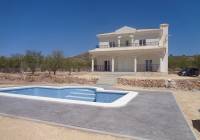 Nueva construcción  - Villa - Pinoso