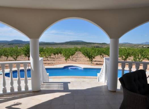 Obra Nueva - Venta - Pinoso - Rural location