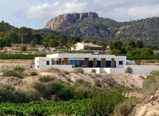 Off Plan/New Build Villa - Resale - Pinoso - 61093
