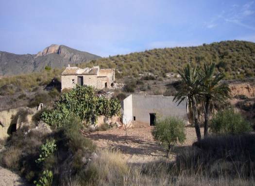 Proyecto de restauración - Venta - Macisvenda - Rural location