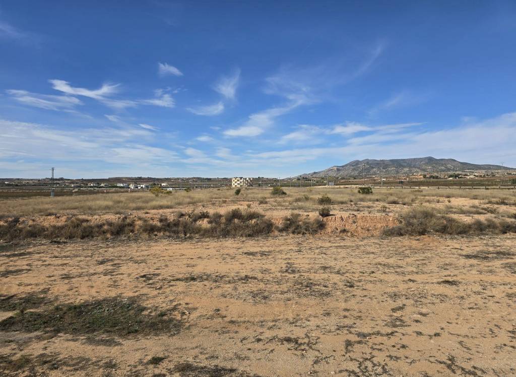 Resale - Apartment - Pinoso