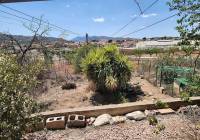 Resale - Cave House - Algueña - Alguena