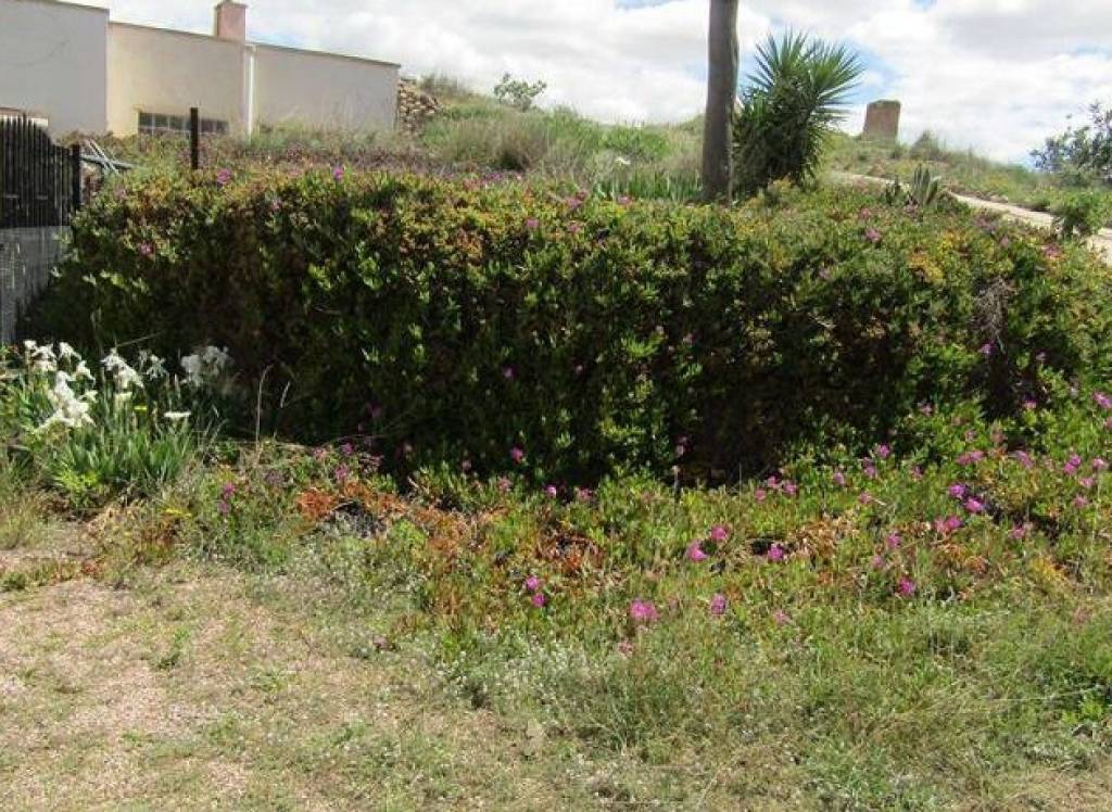 Resale - Cave House - La Romana