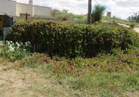 Resale - Cave House - La Romana