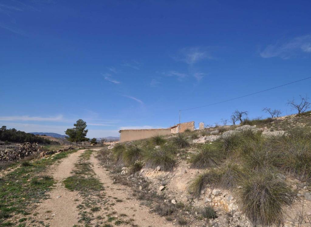 Resale - Cave House - La Zarza - Rural location