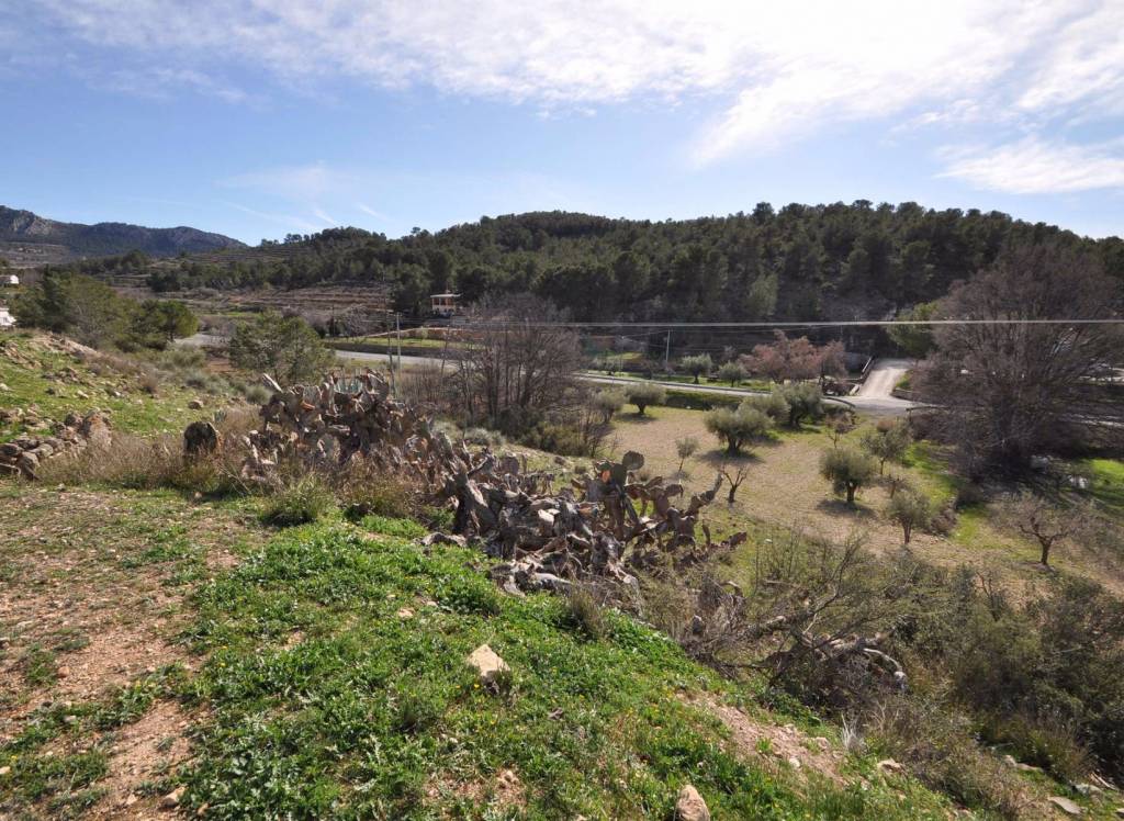 Resale - Cave House - La Zarza - Rural location
