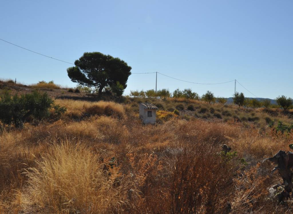 Resale - Cave House - Macisvenda - Rural location