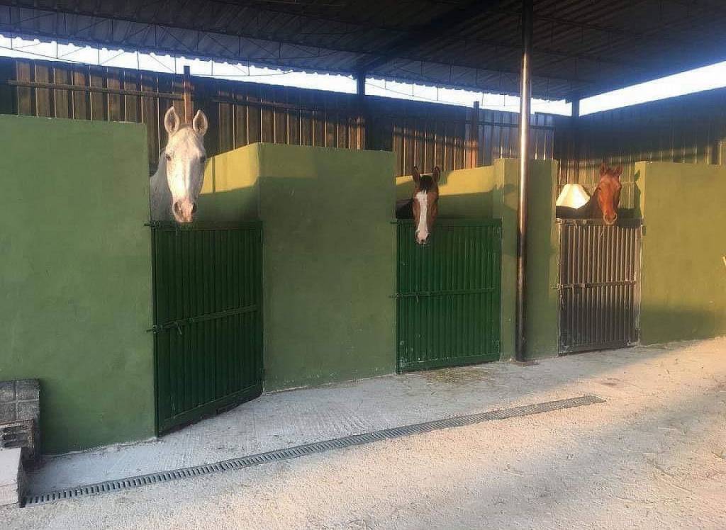 Resale - Commercial - Fortuna