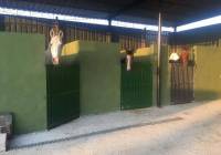 Resale - Commercial - Fortuna