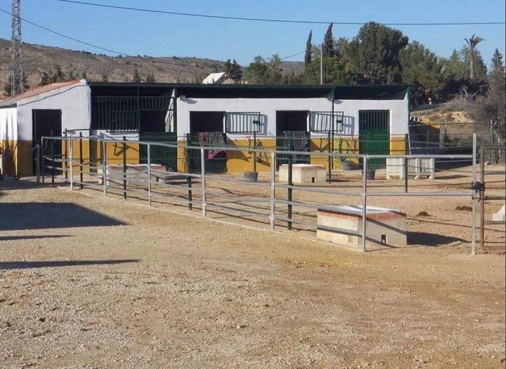 Resale - Commercial - Fortuna