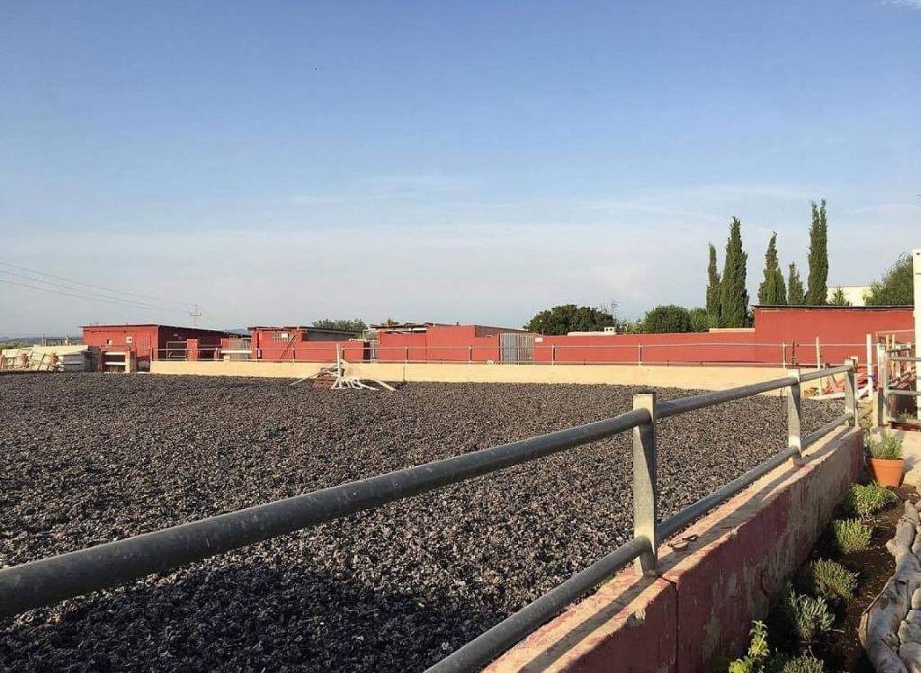 Resale - Commercial - Fortuna