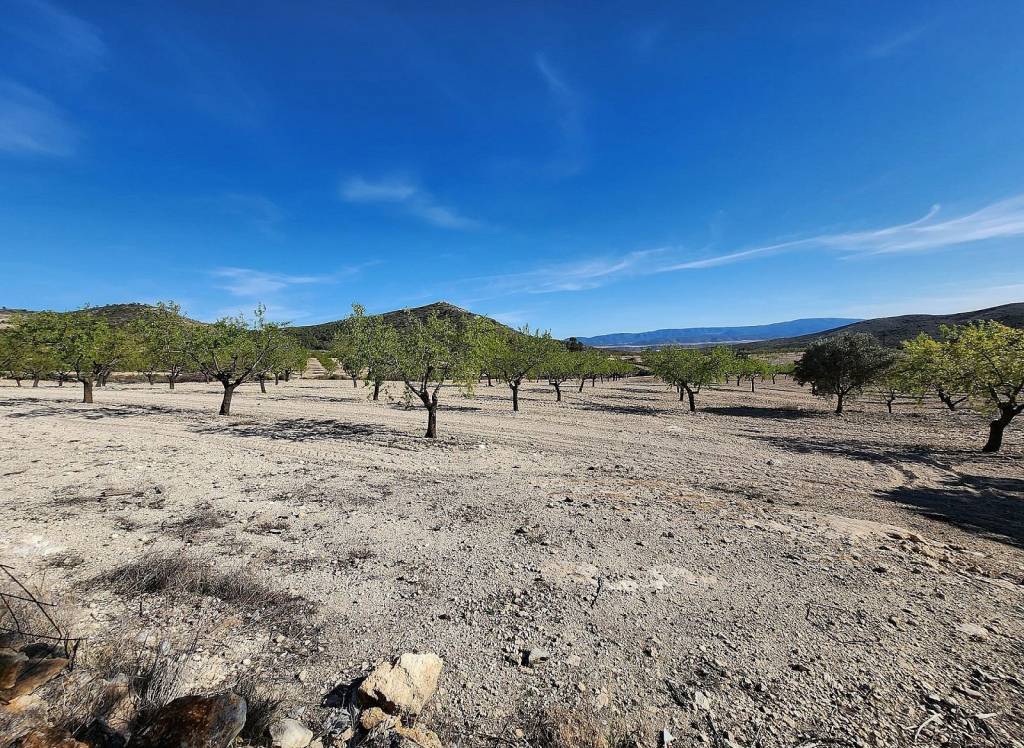 Resale - Country House - Caudete