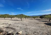 Resale - Country House - Caudete