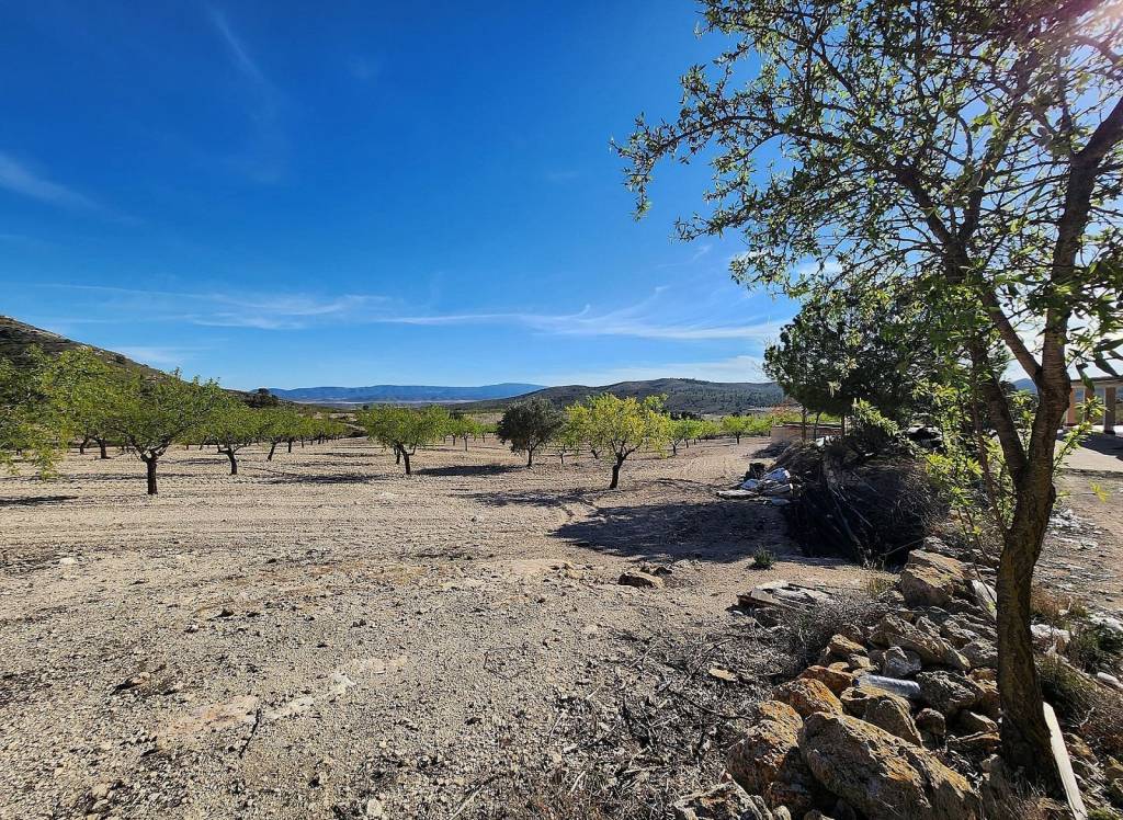 Resale - Country House - Caudete