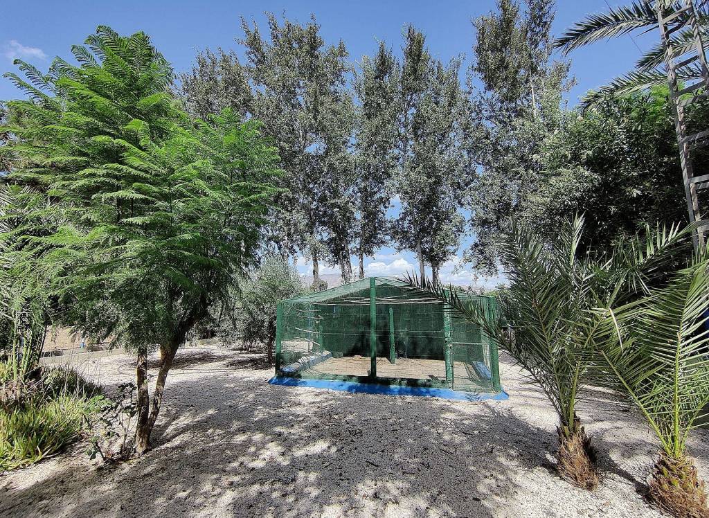 Resale - Country House - Crevillente