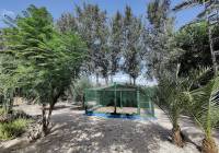 Resale - Country House - Crevillente