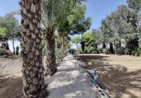 Resale - Country House - Crevillente