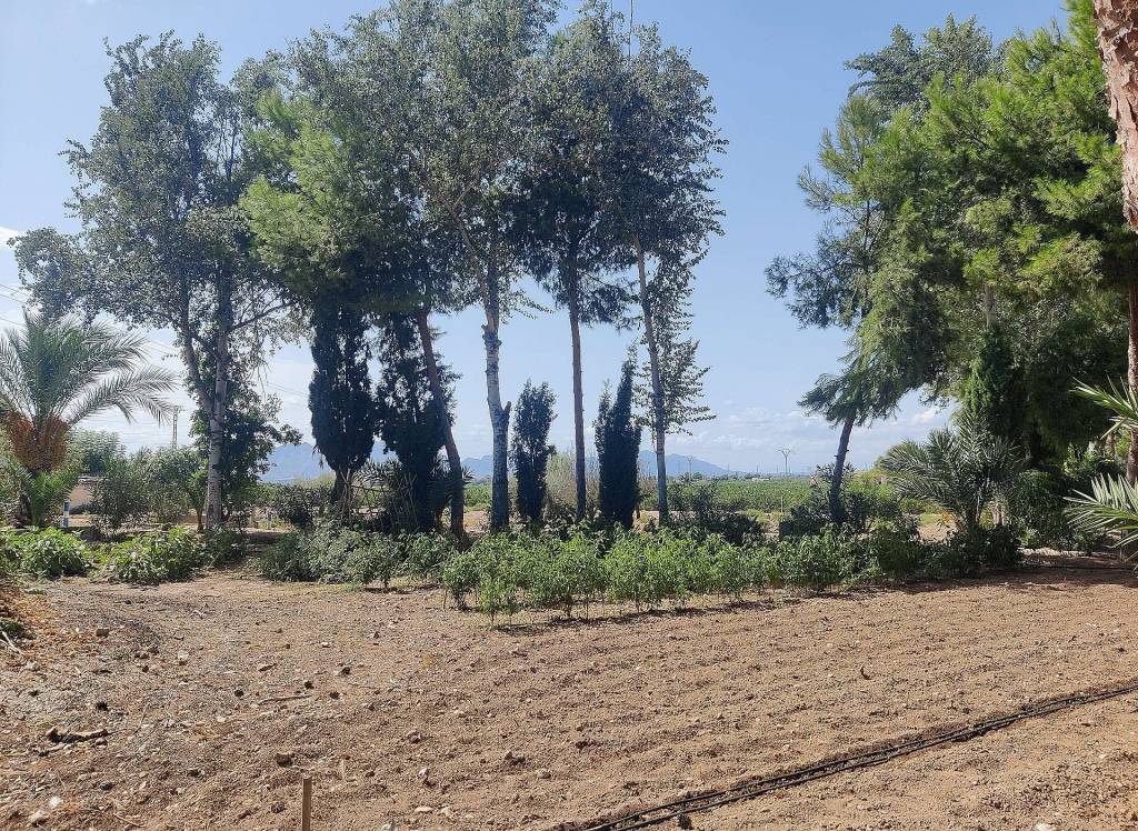 Resale - Country House - Crevillente