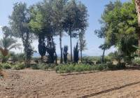 Resale - Country House - Crevillente