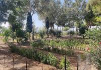 Resale - Country House - Crevillente