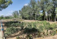 Resale - Country House - Crevillente