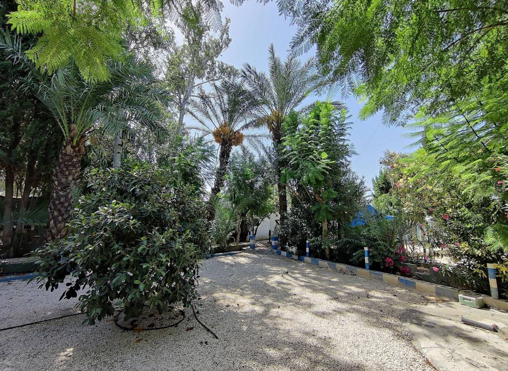 Resale - Country House - Crevillente