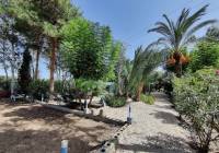 Resale - Country House - Crevillente