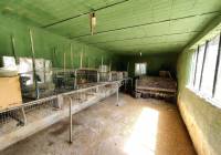 Resale - Country House - Crevillente