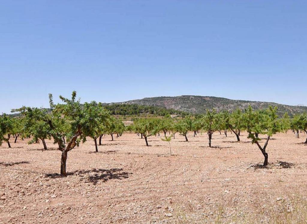 Resale - Country House - Encebras