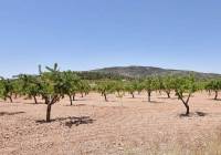 Resale - Country House - Encebras