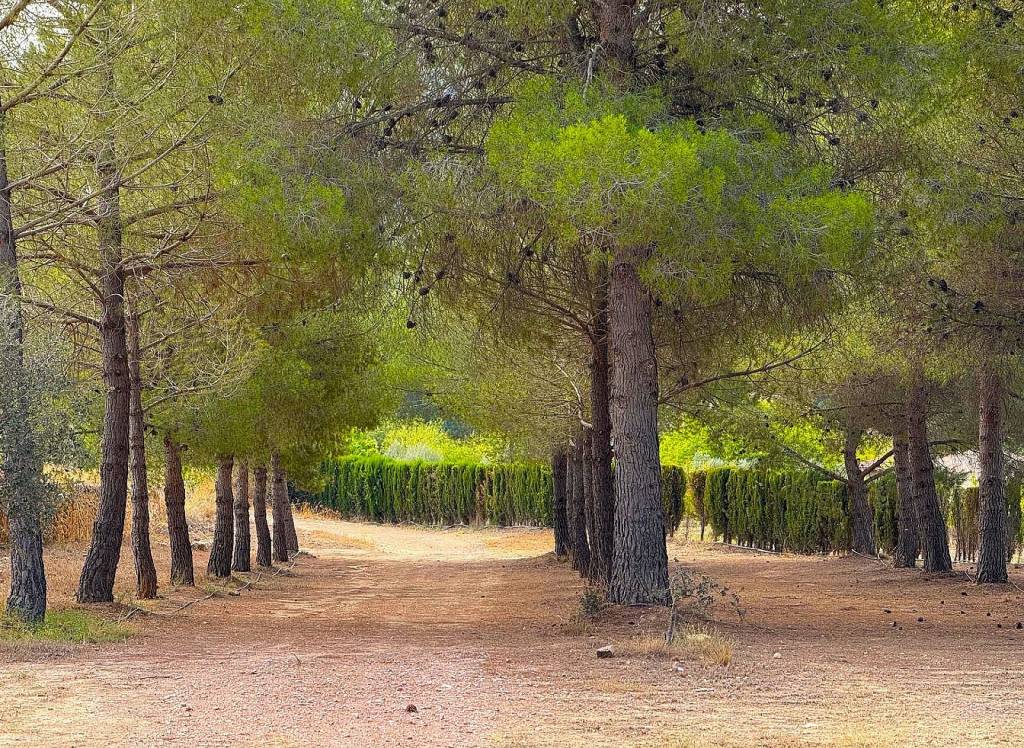 Resale - Country House - Encebras