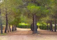 Resale - Country House - Encebras