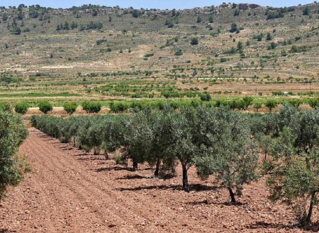 Resale - Country House - Encebras