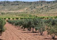 Resale - Country House - Encebras