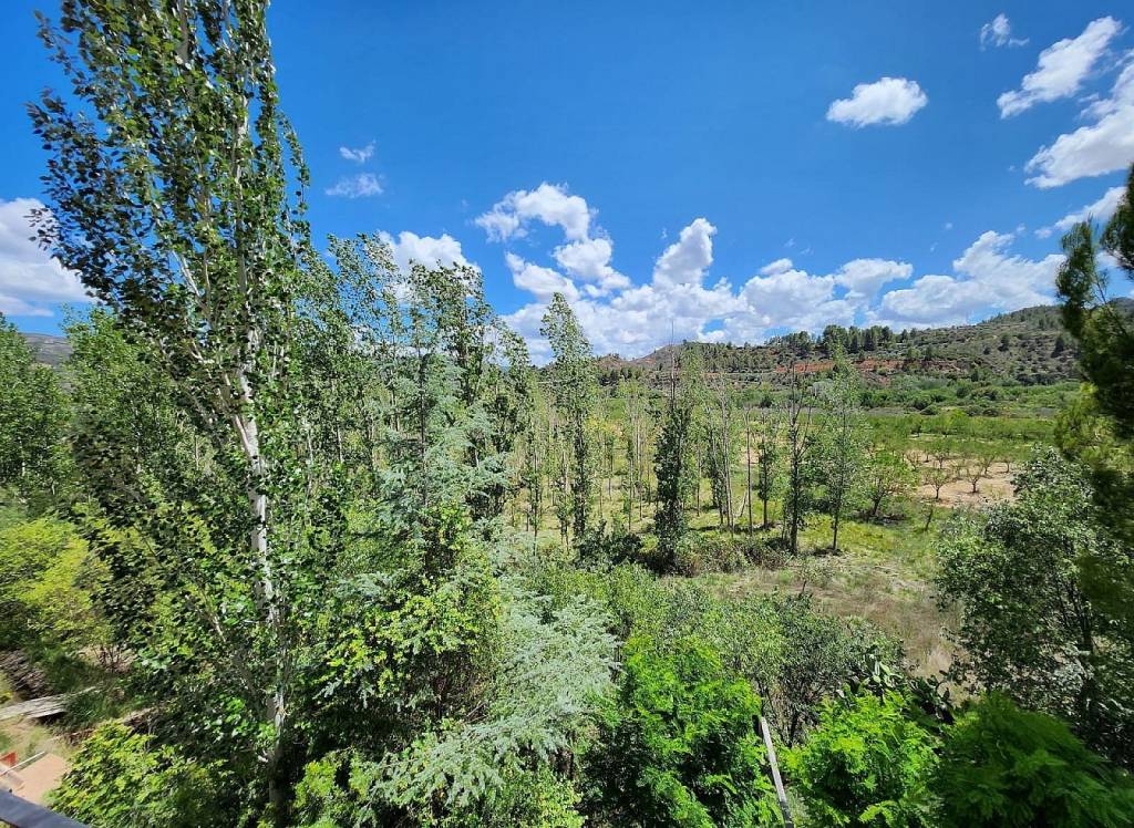 Resale - Country House - Jalance