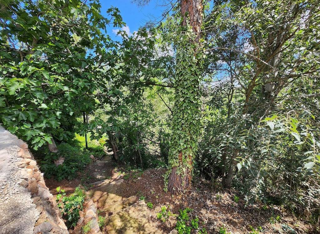 Resale - Country House - Jalance