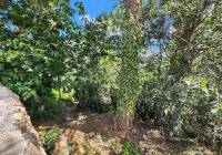 Resale - Country House - Jalance