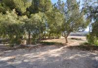 Resale - Country House - Jumilla - Rural location