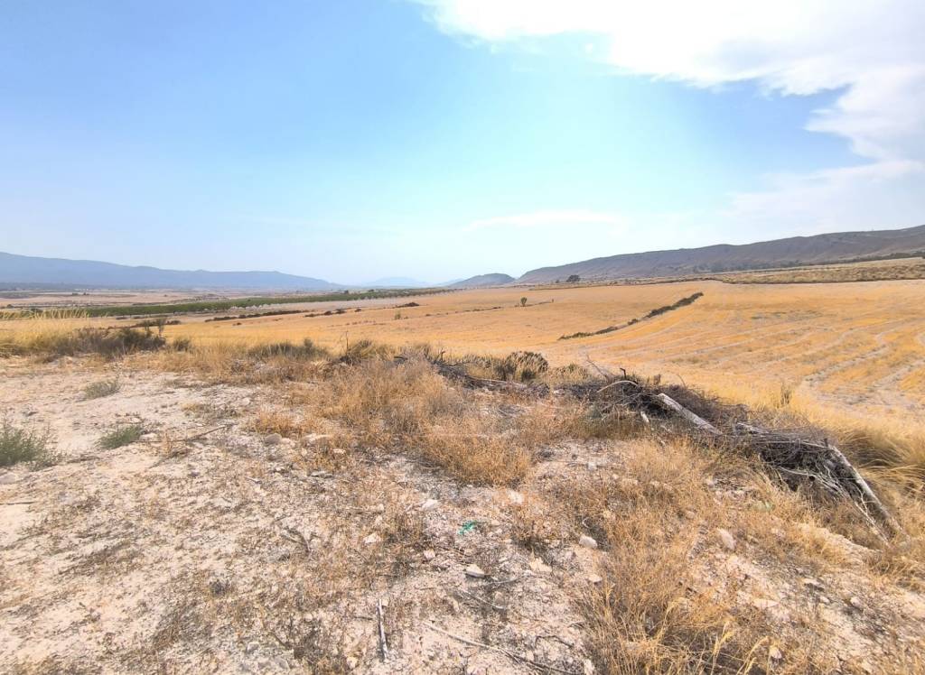 Resale - Country House - Jumilla - Rural location