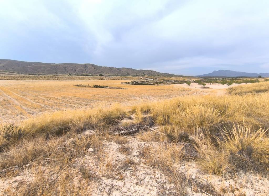 Resale - Country House - Jumilla - Rural location