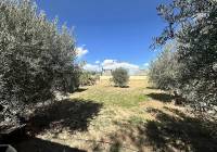 Resale - Country House - Jumilla