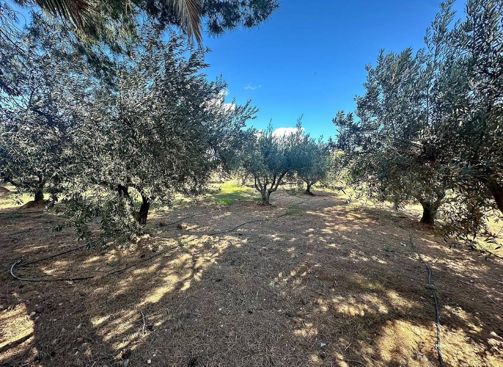 Resale - Country House - Jumilla