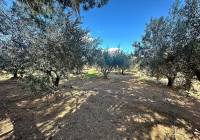 Resale - Country House - Jumilla