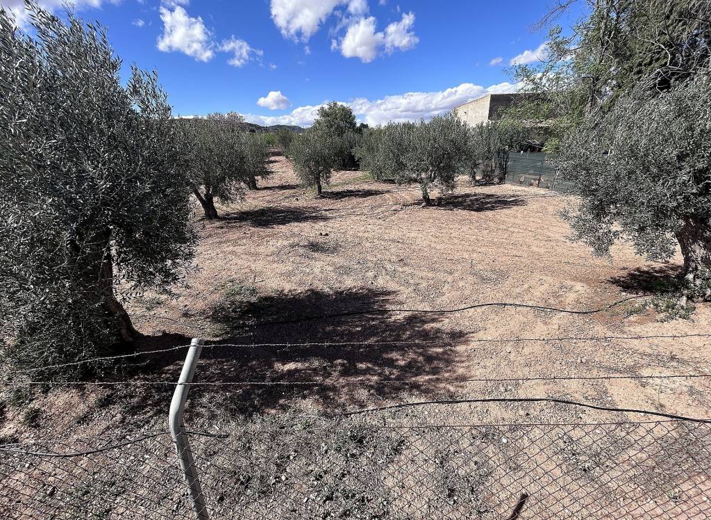 Resale - Country House - Jumilla