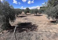 Resale - Country House - Jumilla