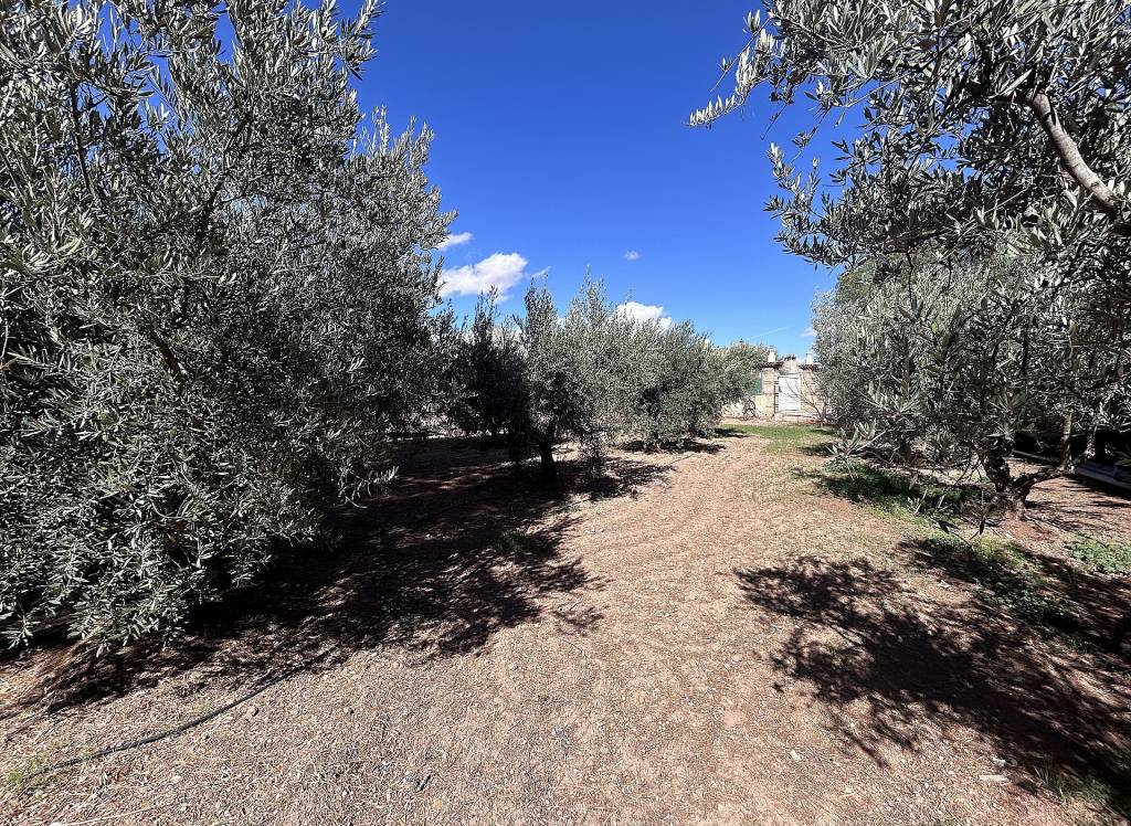 Resale - Country House - Jumilla